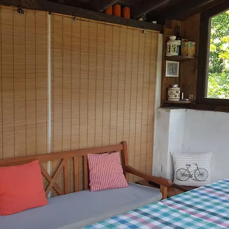 The Wild Fig Шумен