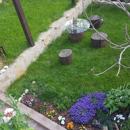 Гостевой дом The Wild Fig 3*