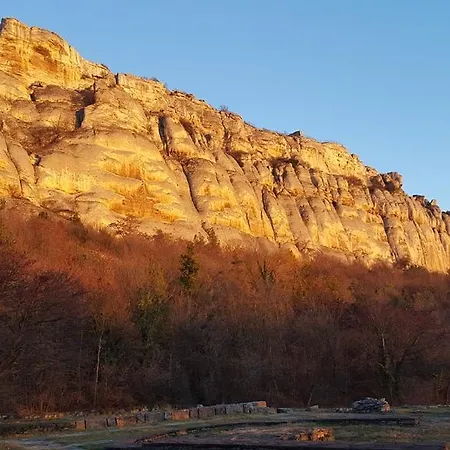 Гостевой дом The Wild Fig