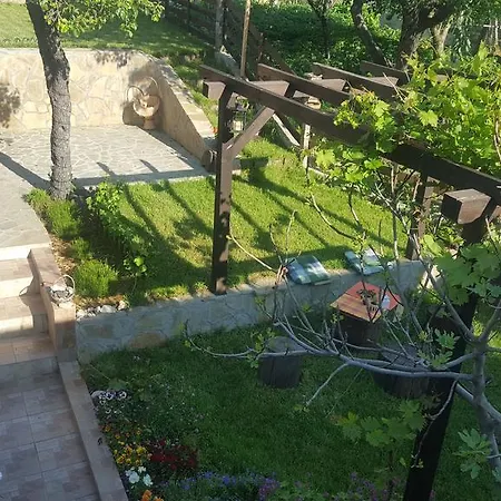 The Wild Fig Шумен