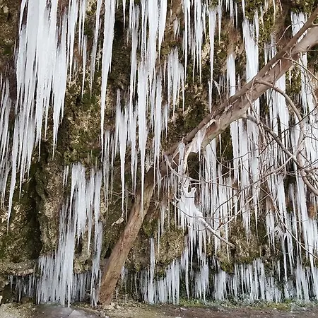 The Wild Fig Гостевой дом