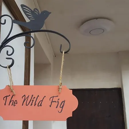 Гостевой дом The Wild Fig 3*