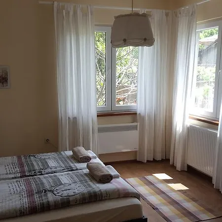 The Wild Fig 3* Шумен