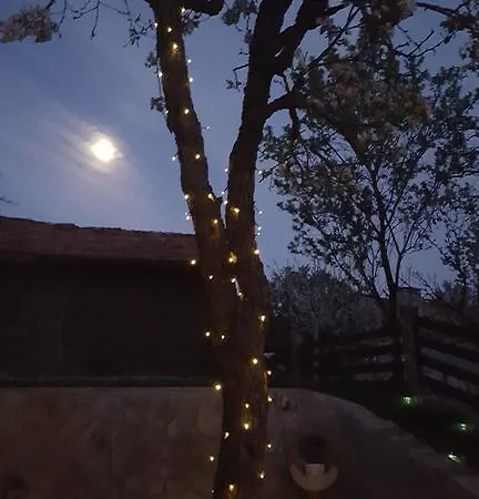 The Wild Fig Шумен