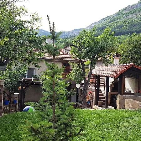 The Wild Fig Шумен