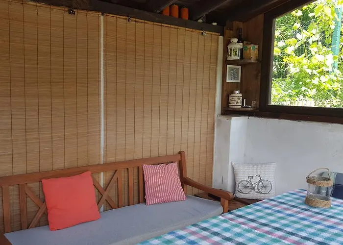 The Wild Fig Sjoemen