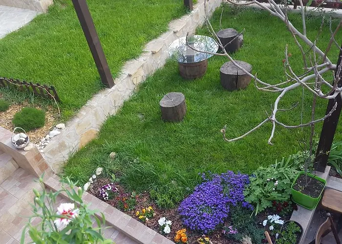 Gasthuis The Wild Fig 3*