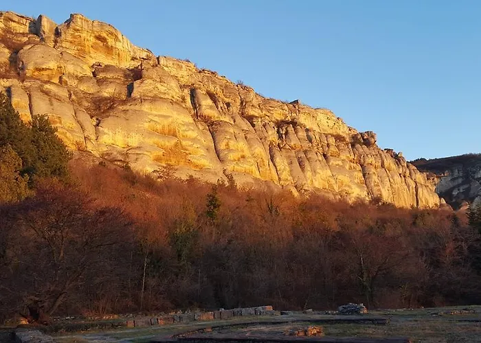 Gasthuis The Wild Fig