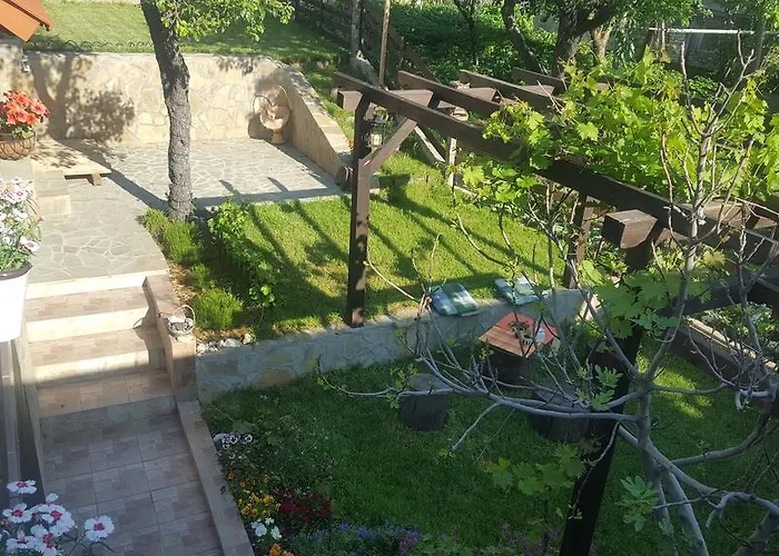 The Wild Fig Sjoemen