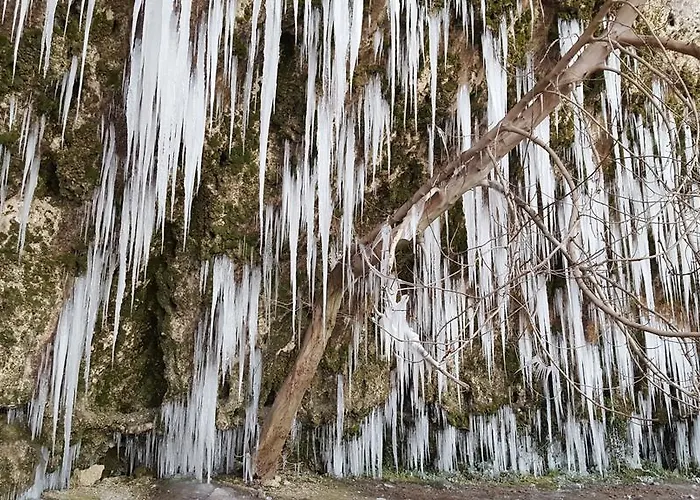 The Wild Fig Gasthuis