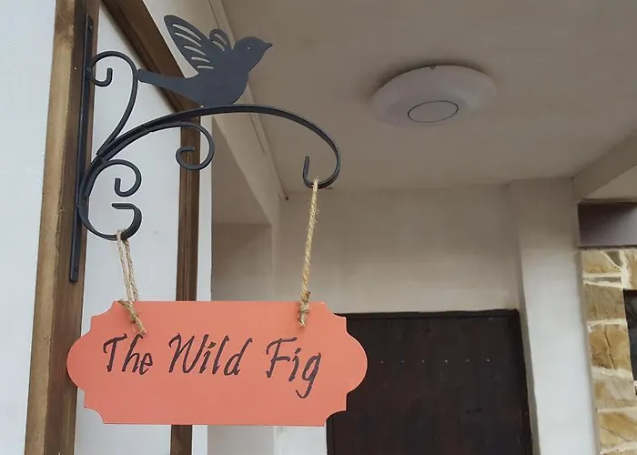 Gasthuis The Wild Fig 3*