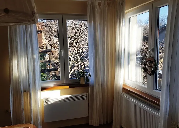 The Wild Fig Gasthuis 3*