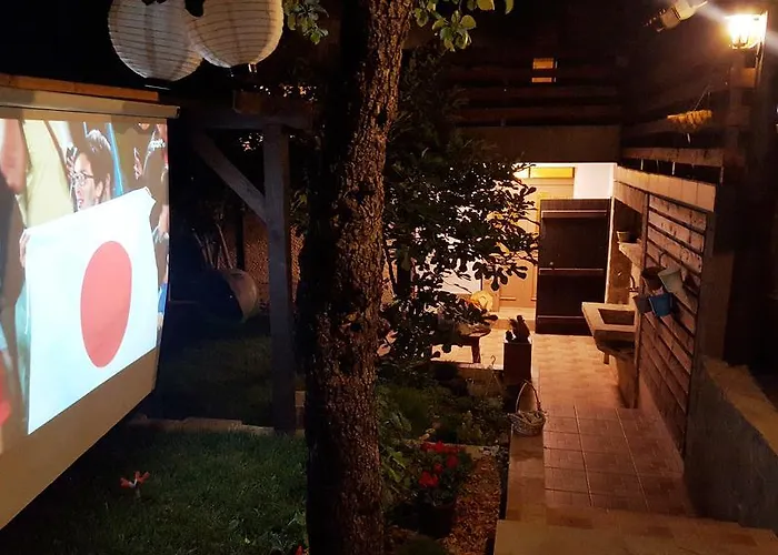 The Wild Fig 3* Sjoemen