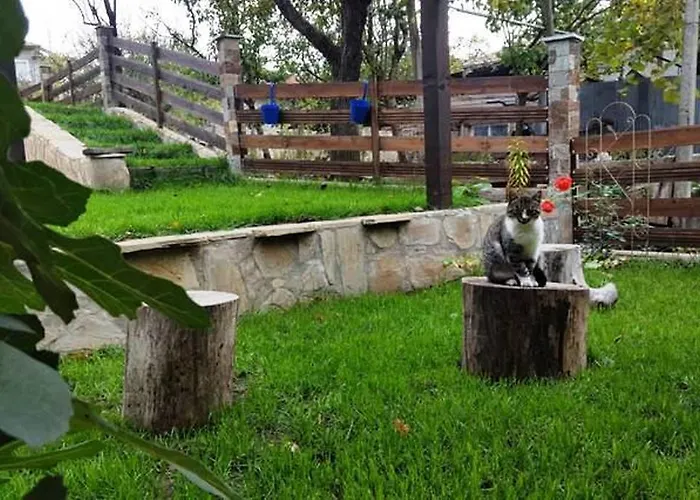 Gasthuis The Wild Fig