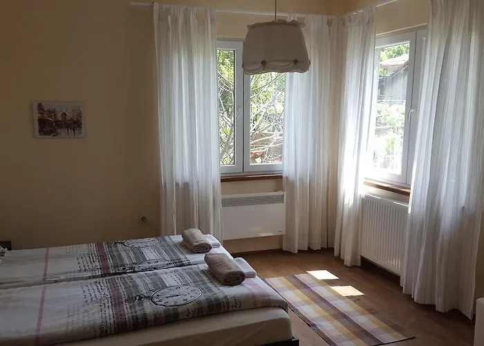 The Wild Fig 3* Sjoemen