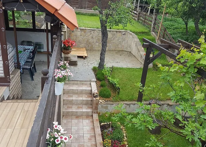 The Wild Fig 3* Sjoemen